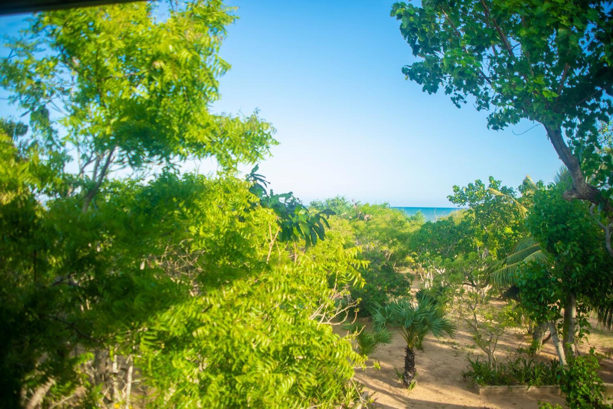 Nikara Luxury Beach House 티사마하라마 외부 사진